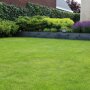 Hedera helix 'Woerner' (Mobilane kant en klaar haag) tegen muur